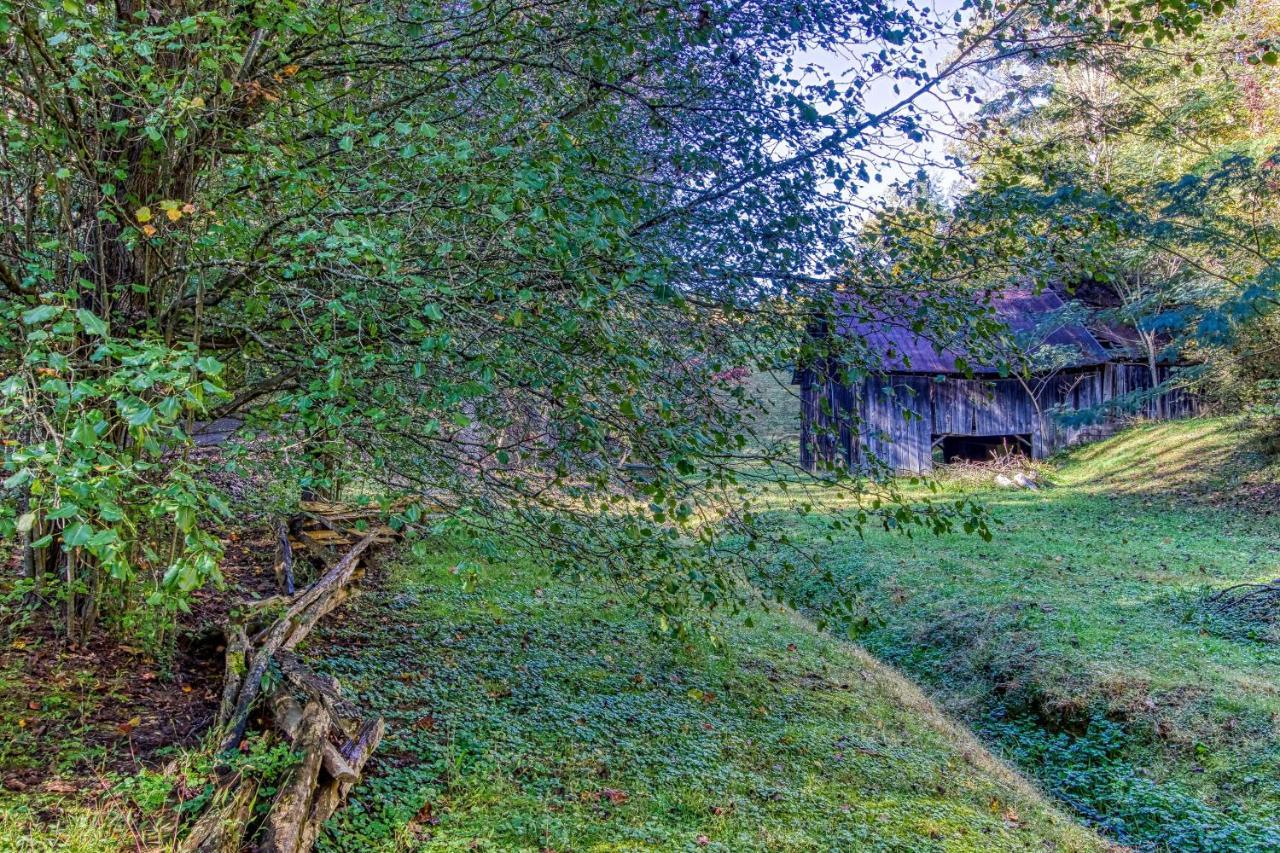 Cozy Creek Cabin Pigeon Forge Zewnętrze zdjęcie