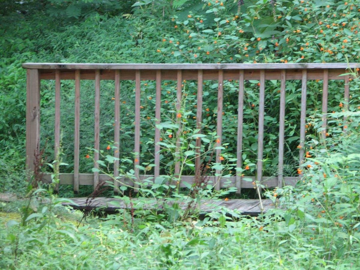 Cozy Creek Cabin Pigeon Forge Zewnętrze zdjęcie