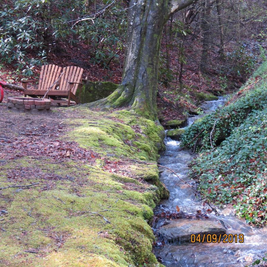 Cozy Creek Cabin Pigeon Forge Zewnętrze zdjęcie